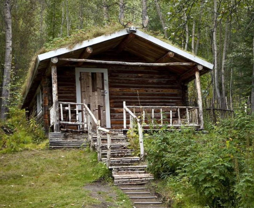 天才少年16岁进哈佛，却成美国高智商杀手，源于政府一次实验？