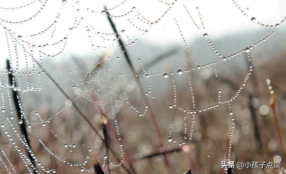 宋代苏轼《送子由使契丹》古诗欣赏及解析 涨知识