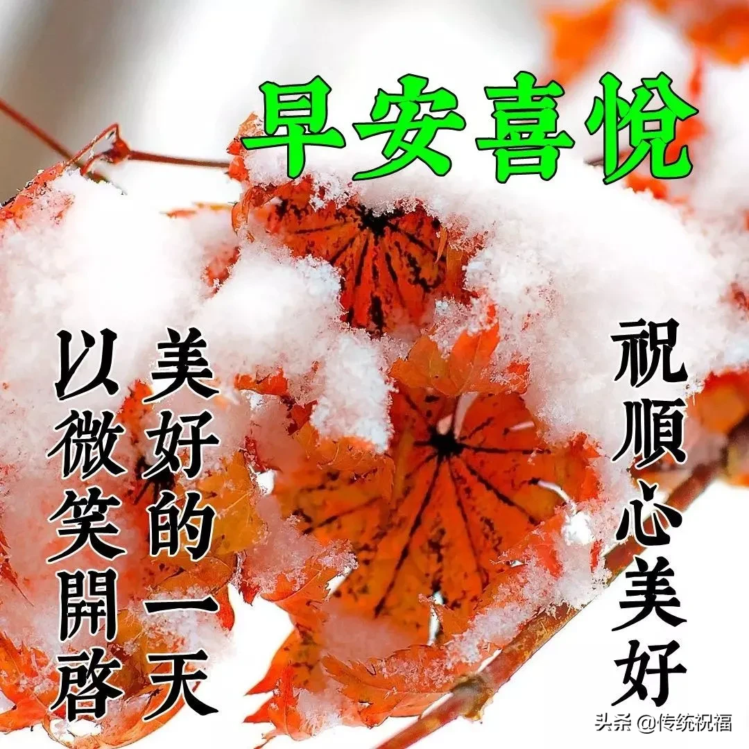 采摘一缕阳光，照亮你的每一天；采摘一缕芳香，让香气伴你入眠