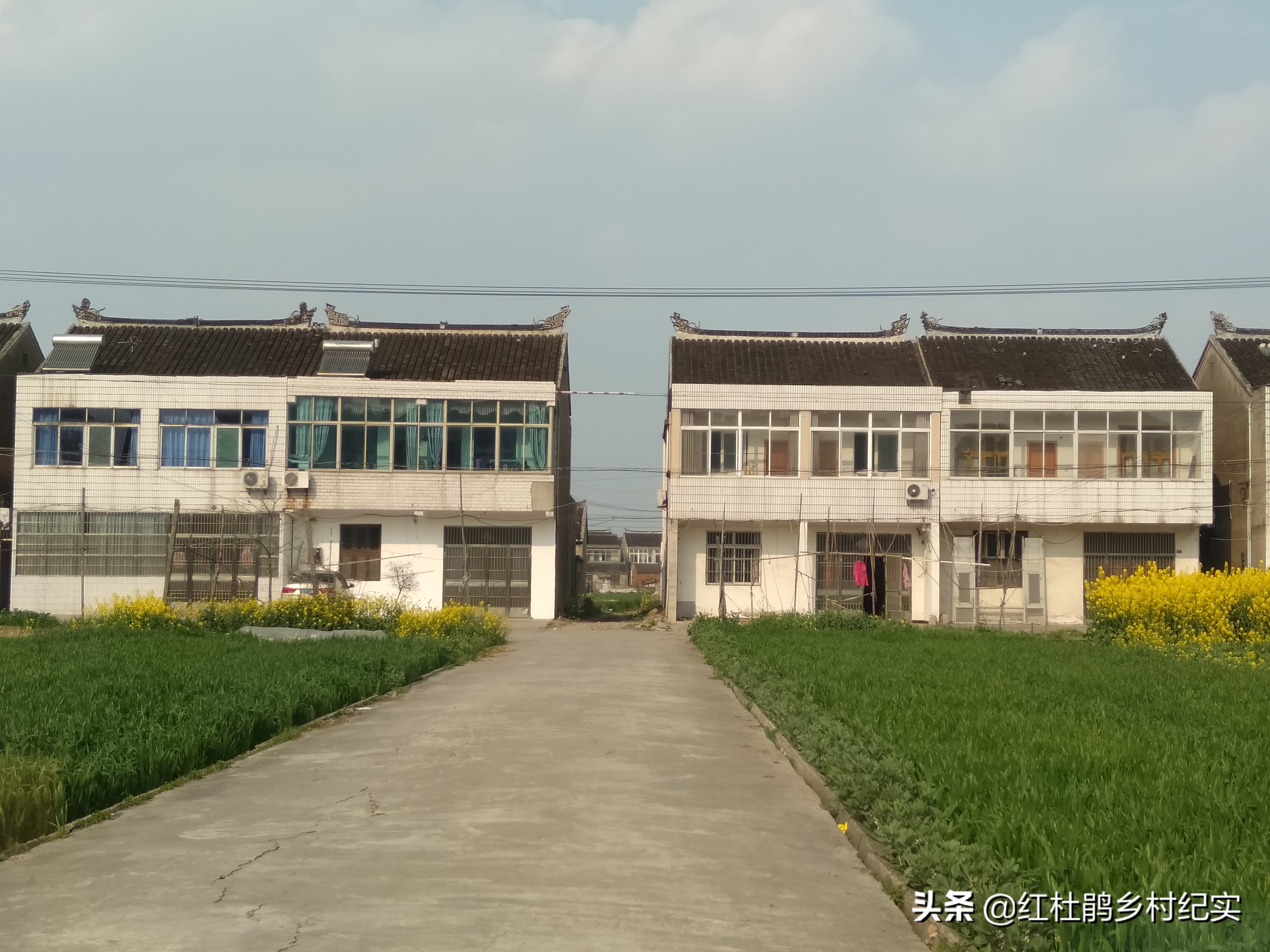 位置在江苏省中部,距离长江不远,上个世纪1995年全村统一修建的房子