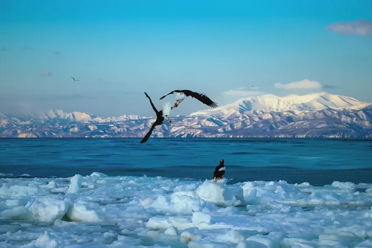 世界存在的冰山法则