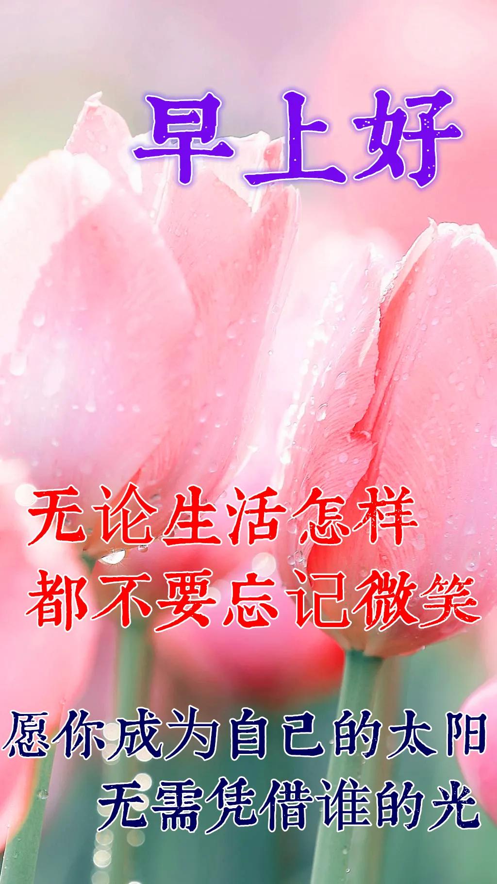 美女表情包：真正的绝望，是内心的迷茫
