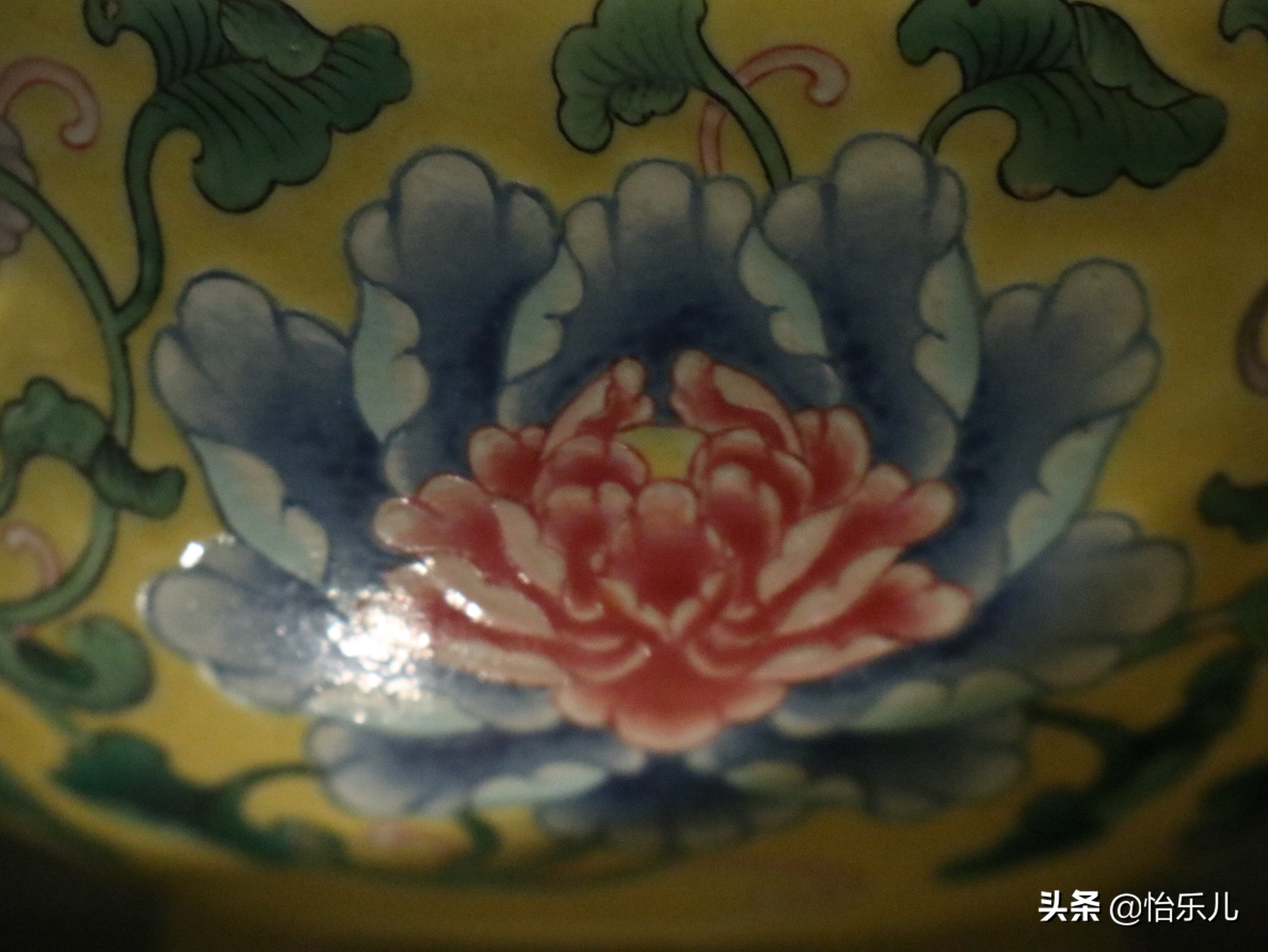 结婚证上印的这朵花不简单，被雍正称为“人间第一花”