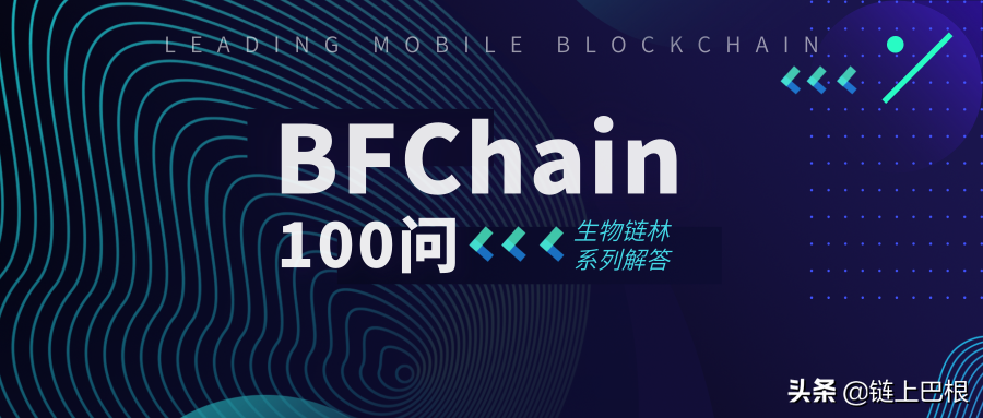 BFChain的去中心化有什么不同？