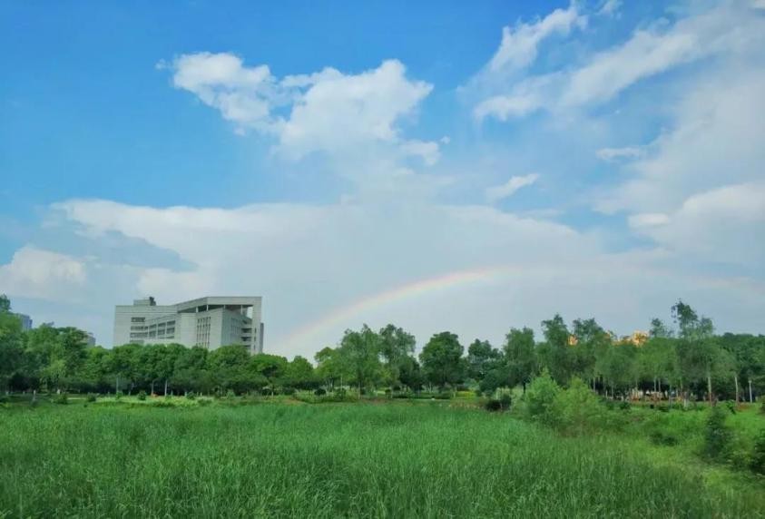 湖北这所名校：突破“卡脖子”关键技术，创造10亿级别经济效益