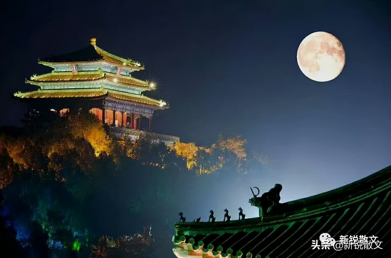 关于月光一段的美文 _晶羽文学网