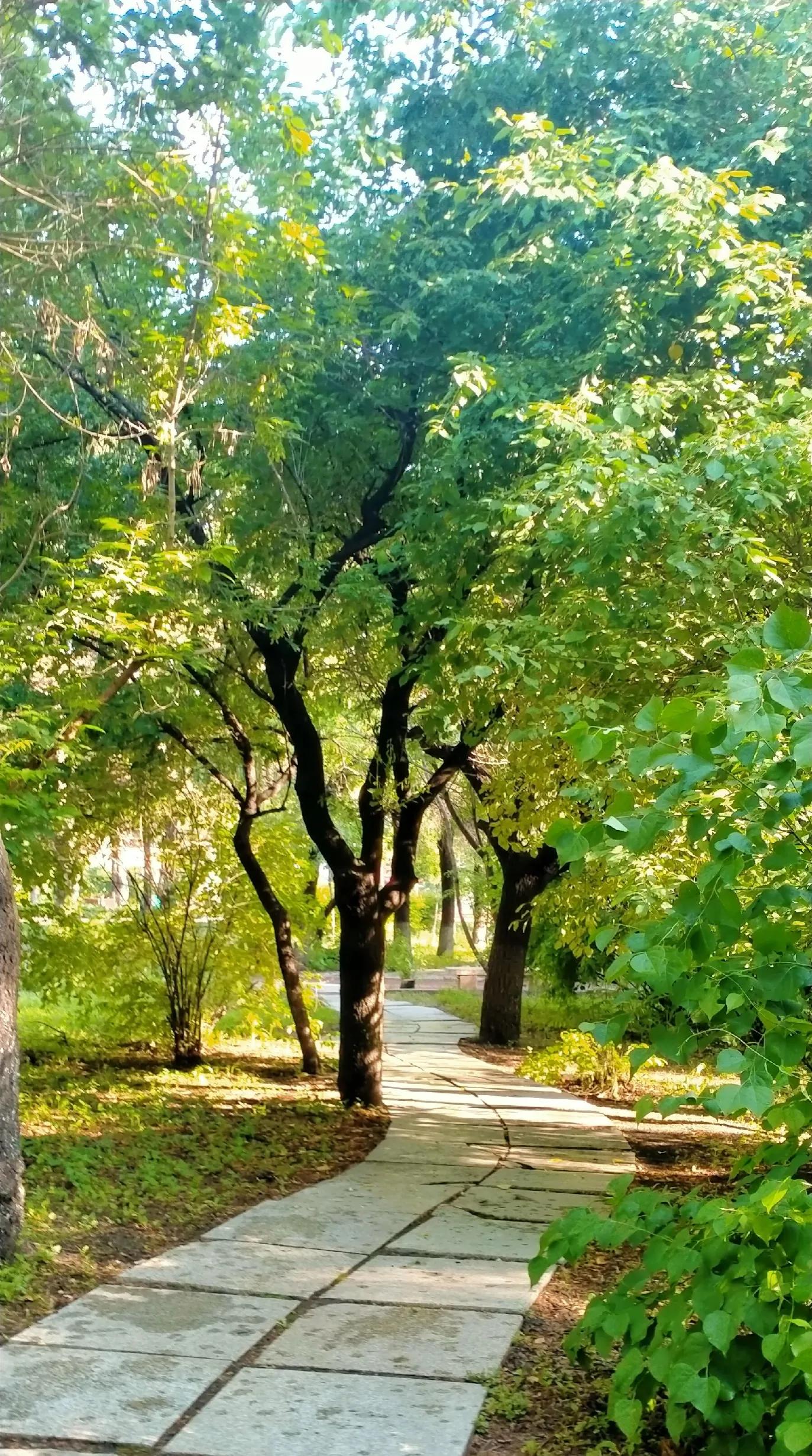 长春师范大学——竟然这么美