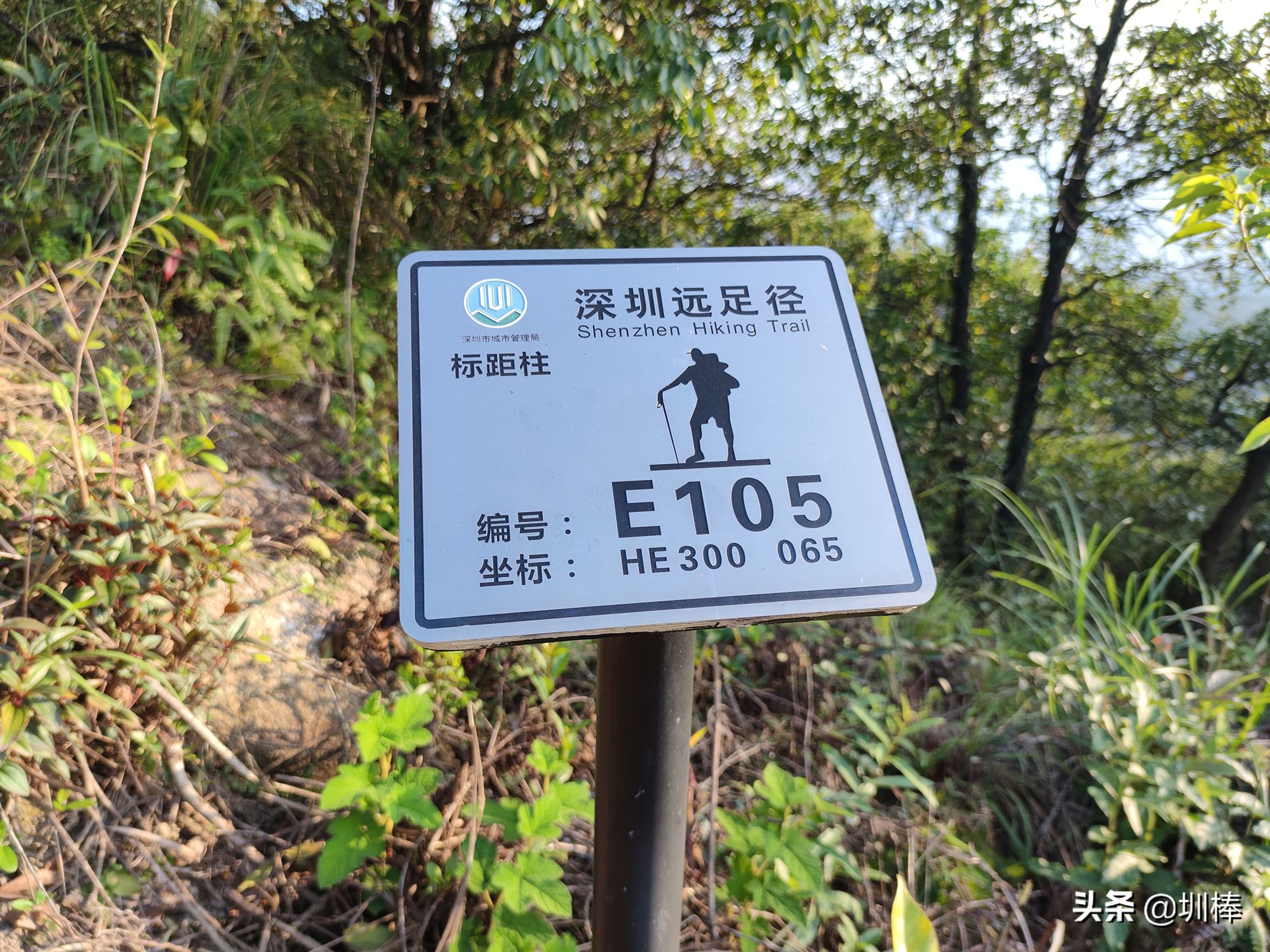 徒步深圳远足径马峦山，落日这么美，你不来看看吗？