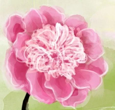 56范文 | 如何用“蒙太奇”结构法写出瞬间之美？