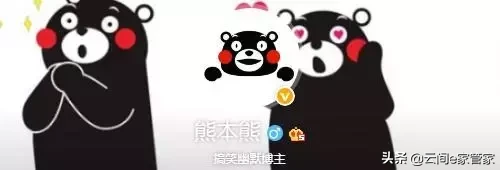 没想到这些大号他们“制造”出来的，这些大号你关注了哪些呢？