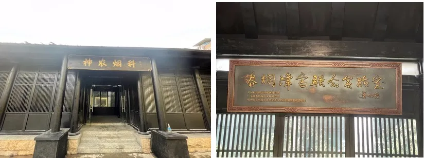 从冷门到火爆全球,让11亿人上瘾的香烟,背后还有什么秘密?