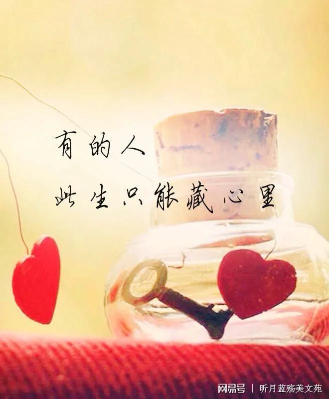 My Image 41