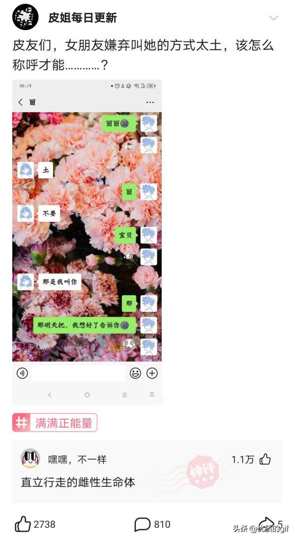 “大哥这驾照，我也是佩服了，警察叔叔都看懵了！”哈哈哈