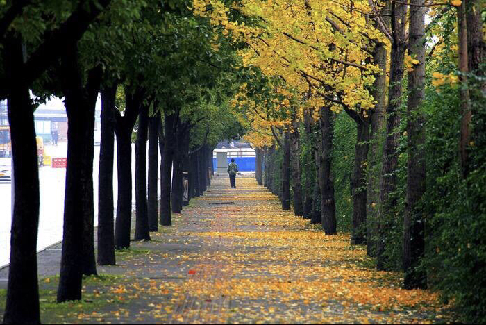 不舍得女儿上大学，妈妈住宾馆陪读，“巨婴”越来越常见