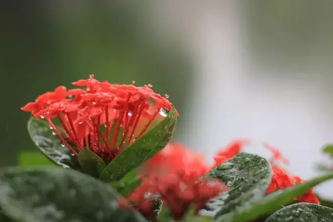 寻一处静谧，赶一场春雨