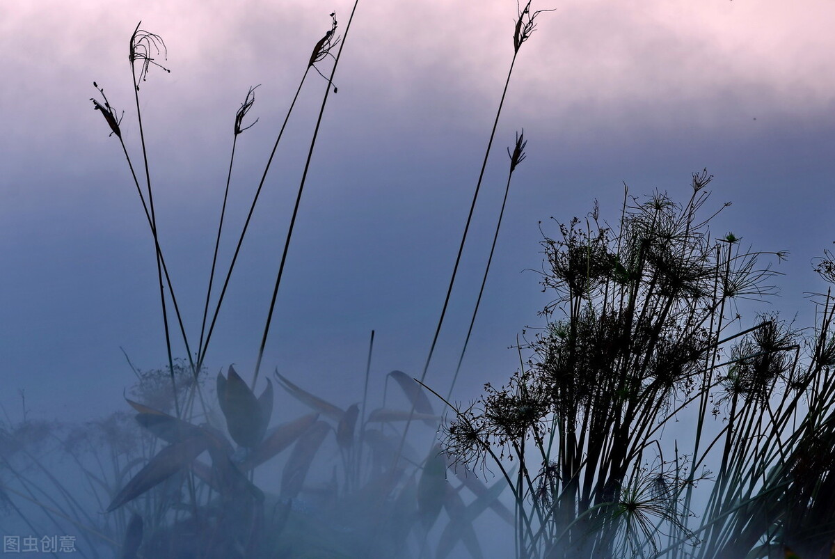 6本教师流网络小说，剧情畅快淋漓，本本皆是青春的回忆