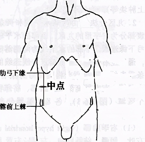 腰围是在最细还是肚脐 怎么量腰围