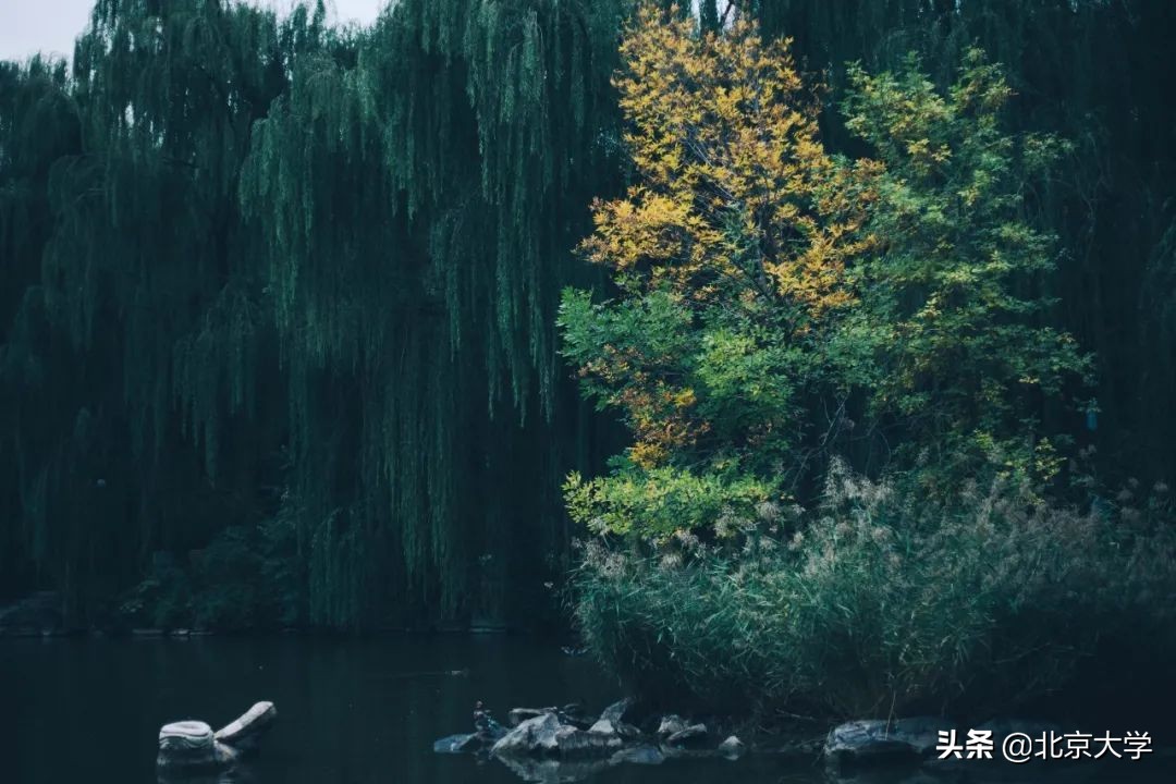 独家限定！北大赏秋地图来了