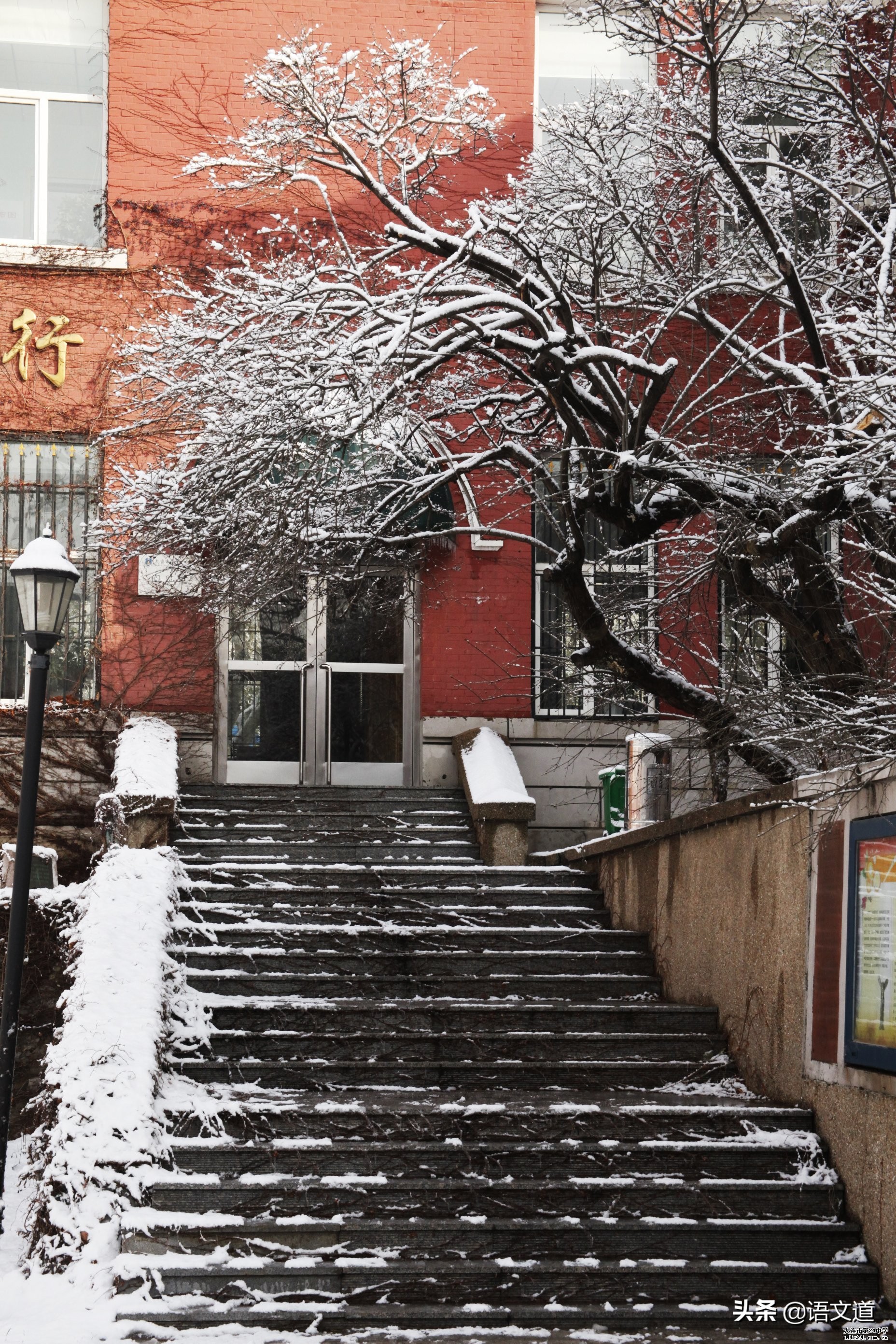 大连24中学和大连育明高中的官方简介，送给2020届初三学生