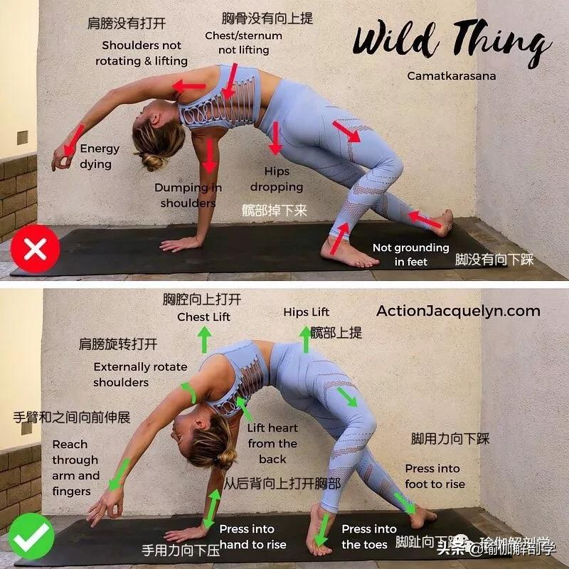 28个常见瑜伽体式“正误对比”图，初学者尤其要注意！（收藏级）