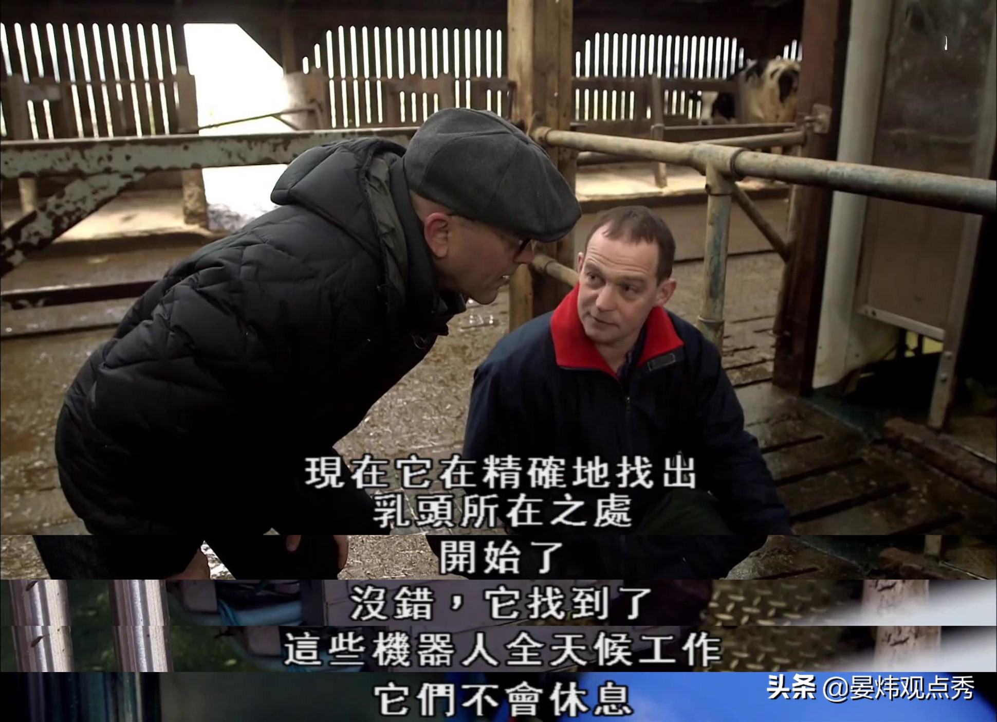 你知道人類為了喝上新鮮的牛奶，曾經(jīng)有多努力嗎？