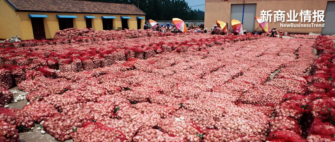 我为淘宝做「代理」 | 新农人