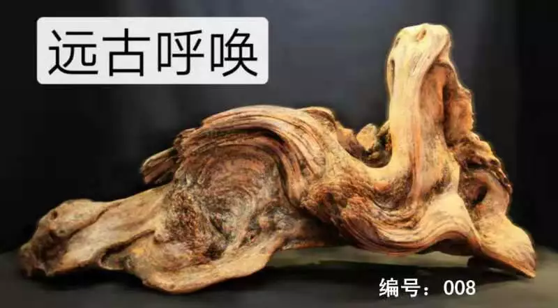 ãååãæ ¹éé¢å¾è¯ï¼åé¦ï¼