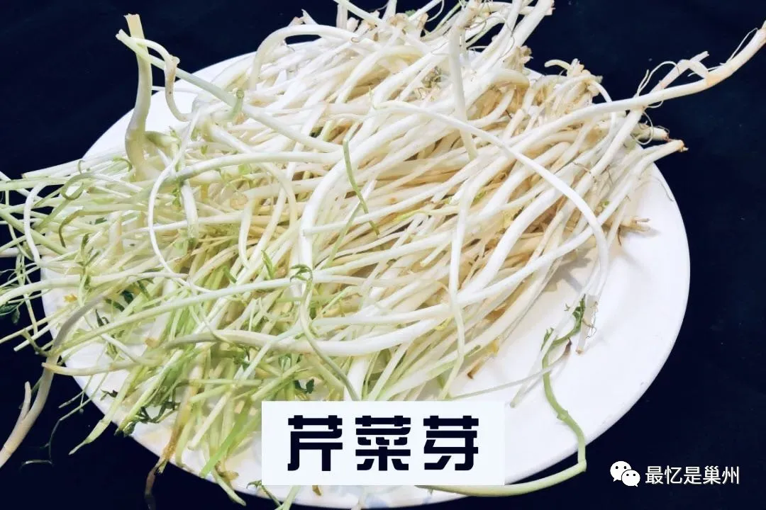 芹芽,芹芽菜圖片