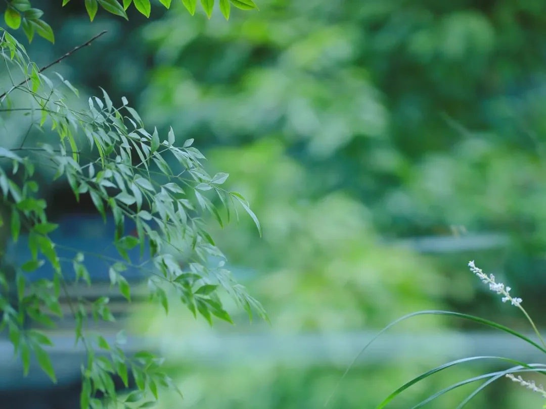 这180句最经典的诗词，道尽了人一生最珍贵的3种感情