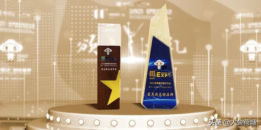 2021智博会｜艾鸥科技荣获最佳新品发布奖与最具成长性品牌奖