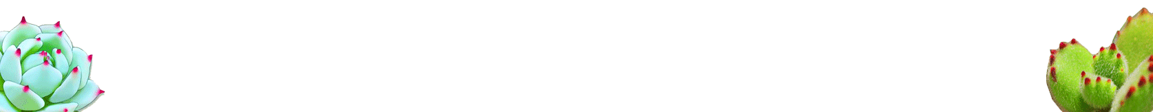 十大令人不适的重口味多肉植物盘点：奇葩外形与诡异特征全收录