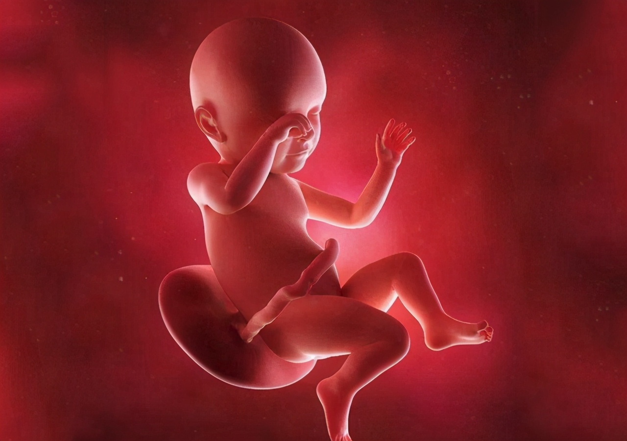 2岁宝宝指着肚脐说有绳子,真的存在"宫内记忆"?你可以问问娃