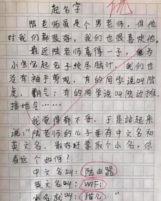 小学生作文《热死了》走红，满满的都是梗，老师看后笑出眼泪