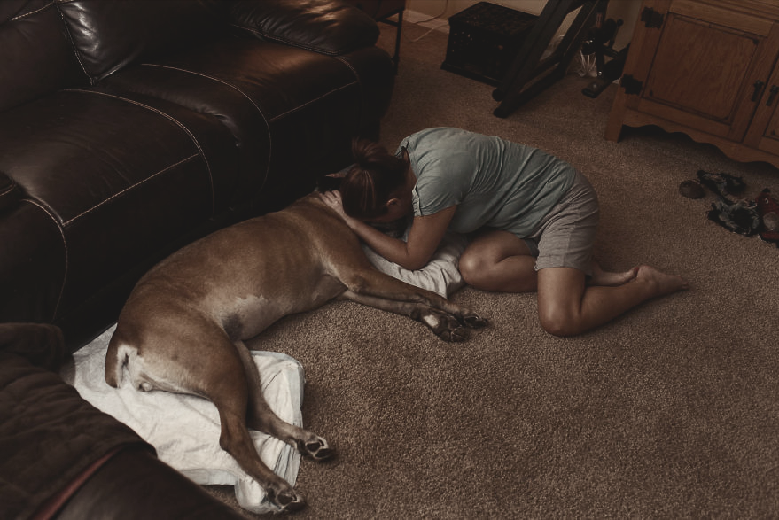 宠物殡葬：愿它们体面离开，但是谁在啃这块最后的“尸体蛋糕”？