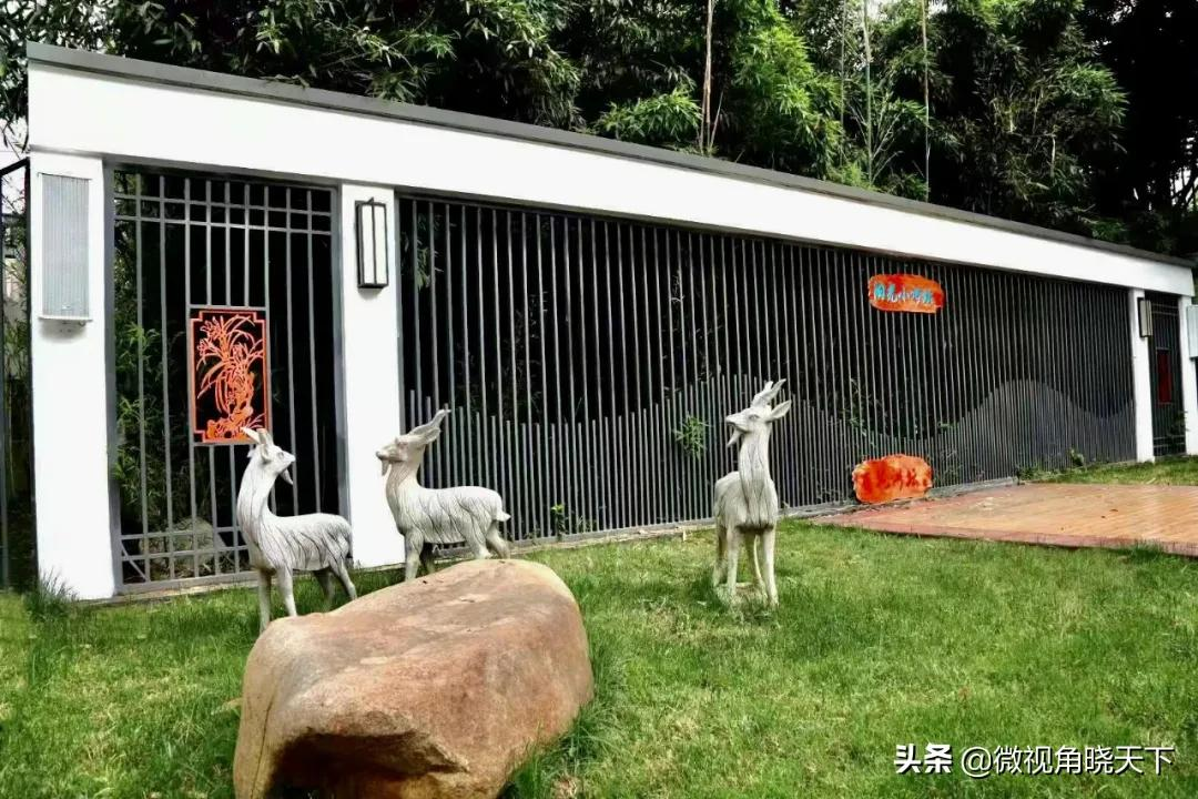 信陽浉河中學舉行“陽光小講壇”活動(圖3) 信陽浉河中學舉行“陽光小講壇”活動(圖3)