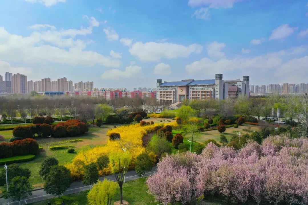 权威发布！郑州大学2021年三省（艺术类）提前批录取结果公布！