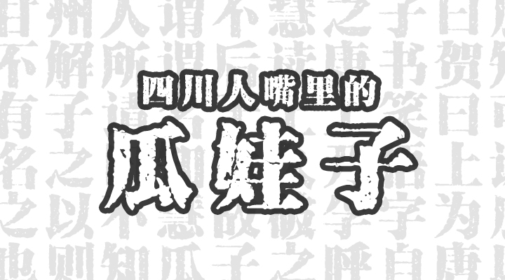 瓜娃子(瓜娃子下一句)
