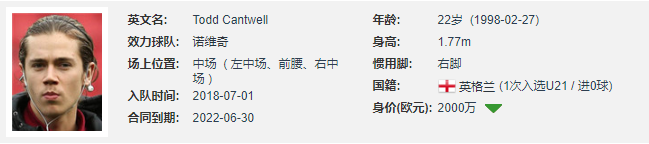 英超坎特维尔去哪里了(坎特维尔｜英格兰“新贝克汉姆”，潇洒飘逸的诺维奇中场新星)