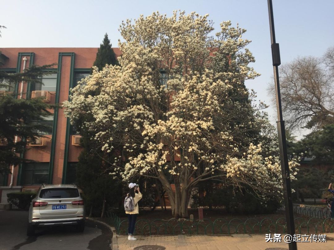 艺术生高考有多难？为了能学好文化课，我求老师不要赶我去普通班