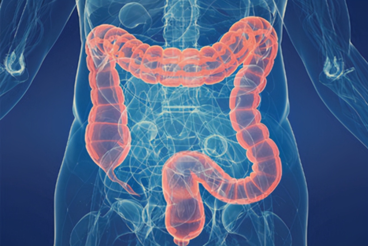 大肠,结肠傻傻分不清?科普一下你不知道的大肠癌,3类人要警惕