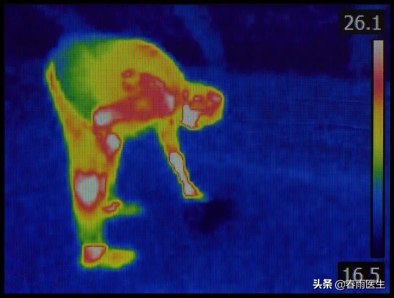 新冠肺炎防控时期，如何正确使用体温计？
