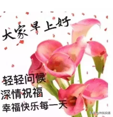 采摘一缕阳光，照亮你的每一天；采摘一缕芳香，让香气伴你入眠