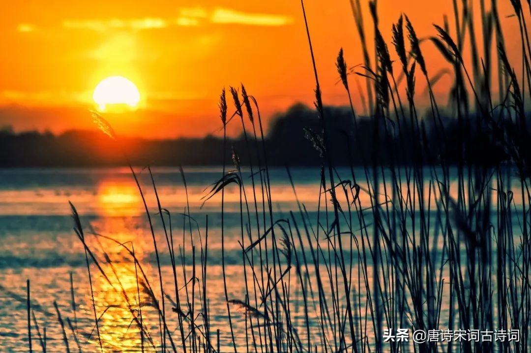 十首诗词，暮年生活，依旧美好