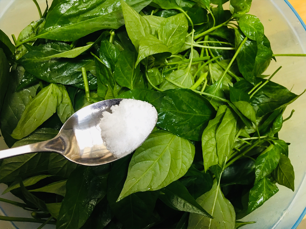 很多人不知道辣椒叶是可以吃的,夏天是它成熟的时候,遇到尝一下