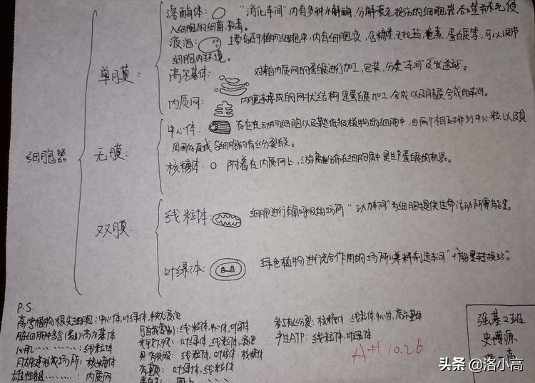 洛一高强基2班周记（9）