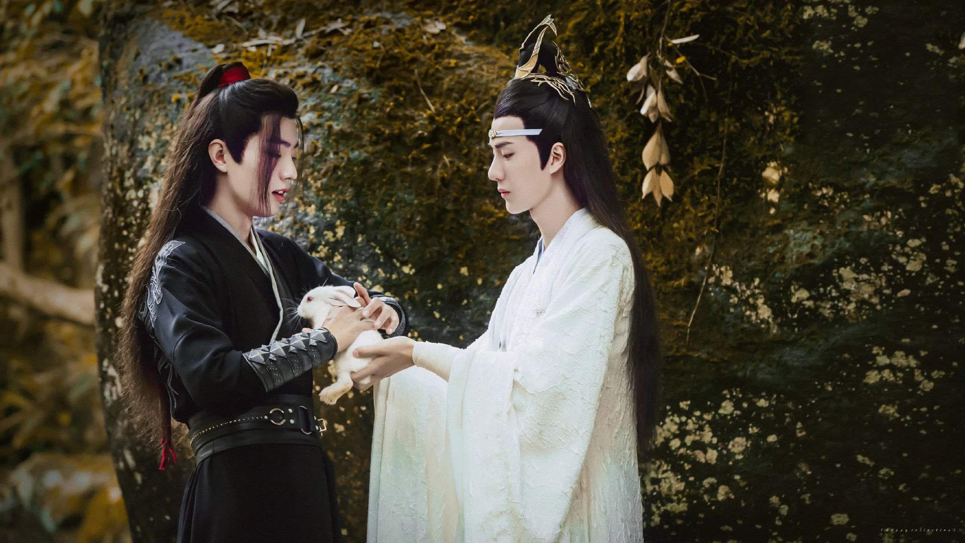 《镇魂》出圈，《陈情令》大爆，《二哈和他的白猫师尊》也要来了