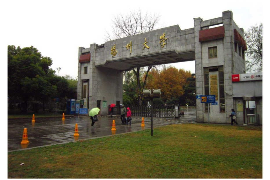 这3所高校并非双一流大学，但综合实力强，是很多江苏人的骄傲