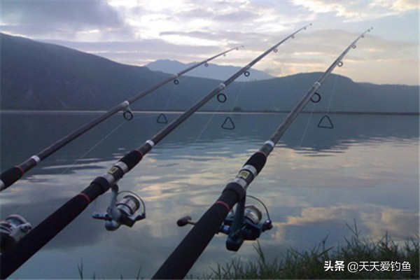 泥鳅打窝钓翘嘴的方法（三个要领教你泥鳅打窝钓翘嘴）