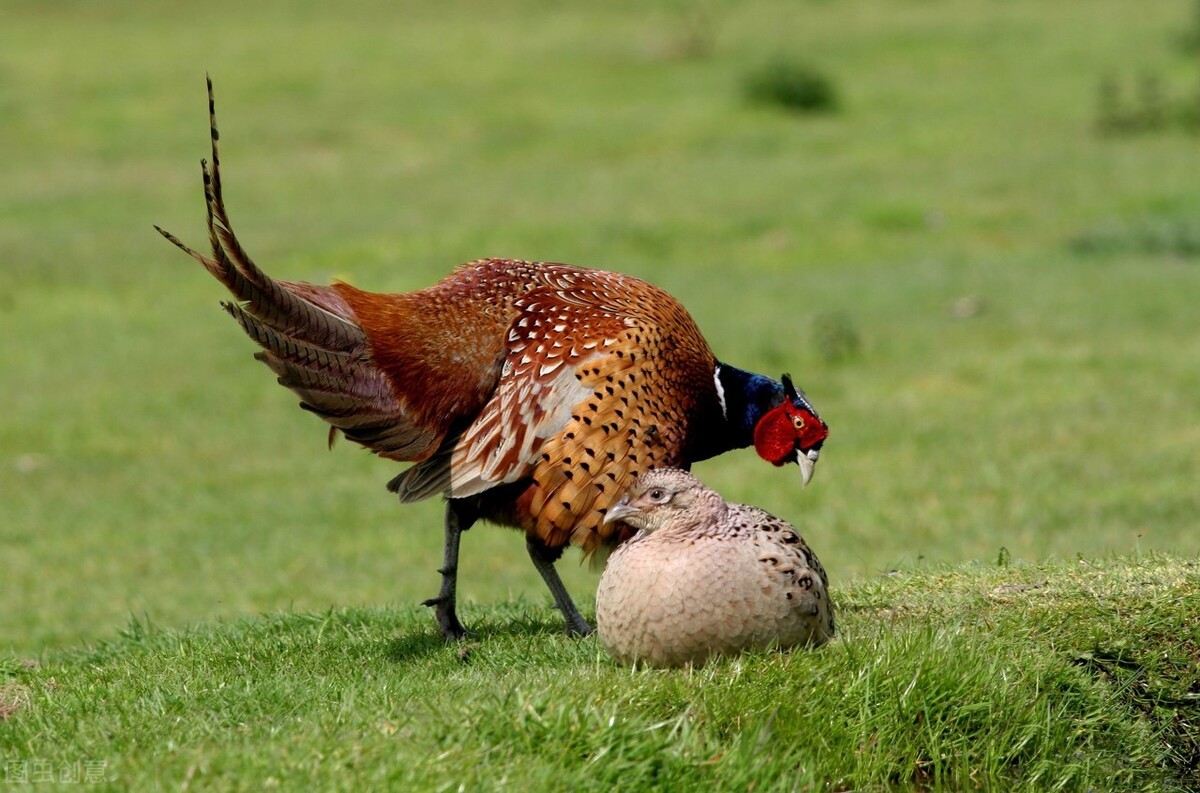 16岁男孩被校园霸凌，性取向是原罪？|请给少数群体多一点包容