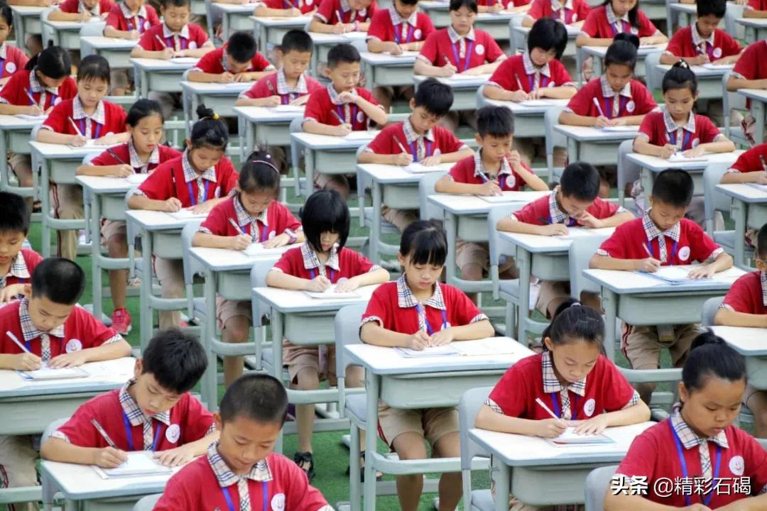 石碣四海学校2021年秋季学期招生简章来了~